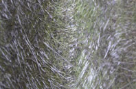 Great Cornard fibreglass roof work